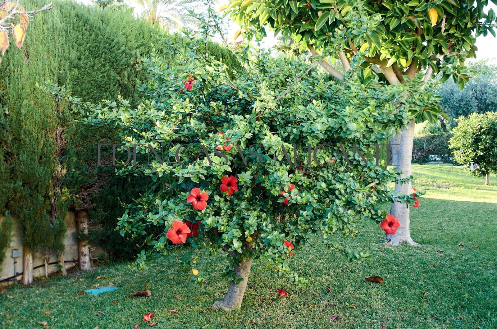 5 soverom Rekkehus til salgs i Playa de Muchavista med svømmebasseng - € 430 000 (Ref: 9349399)