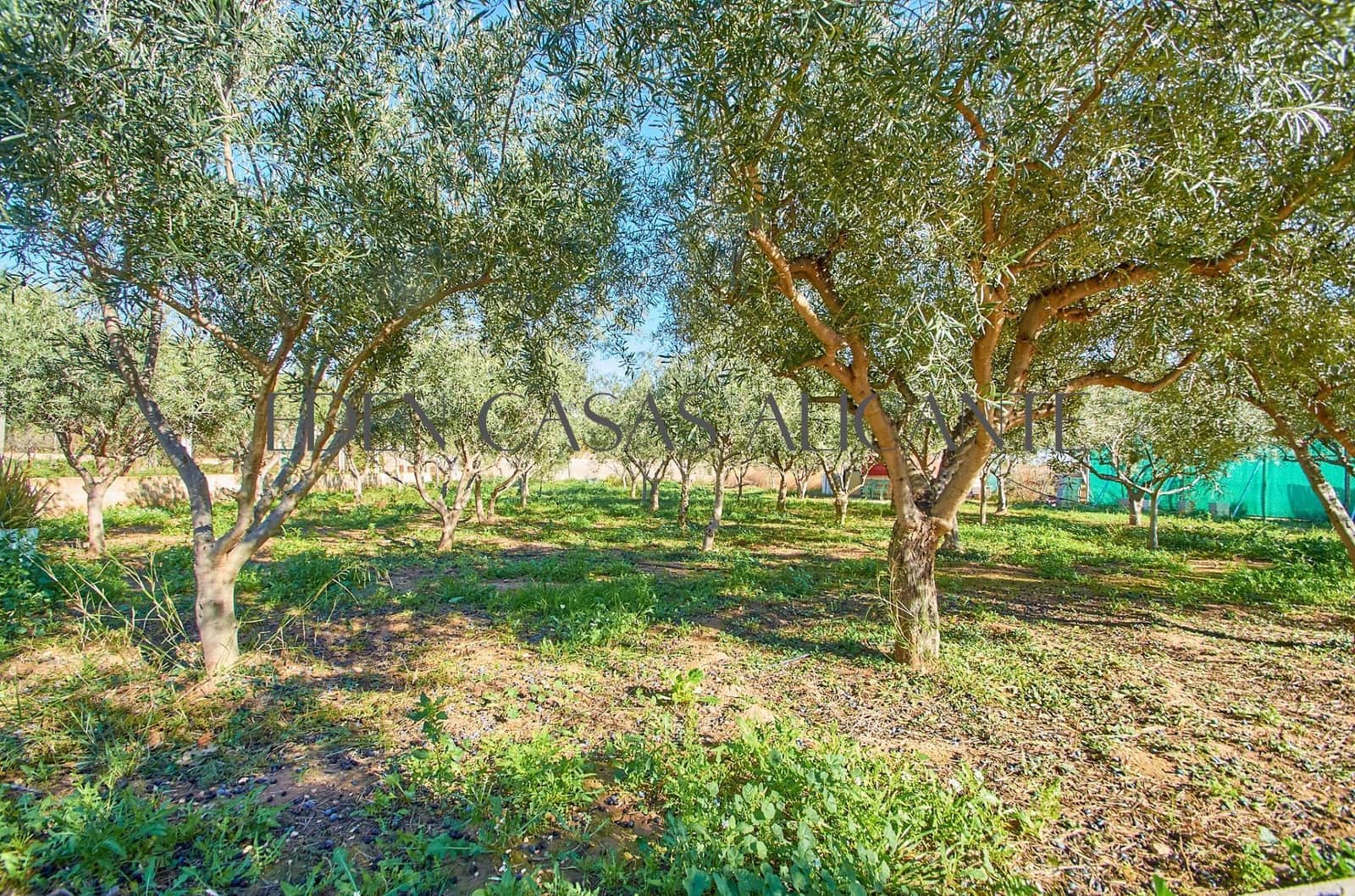 5 soverom Villa til salgs i Alicante by med svømmebasseng garasje - € 659 500 (Ref: 9513566)