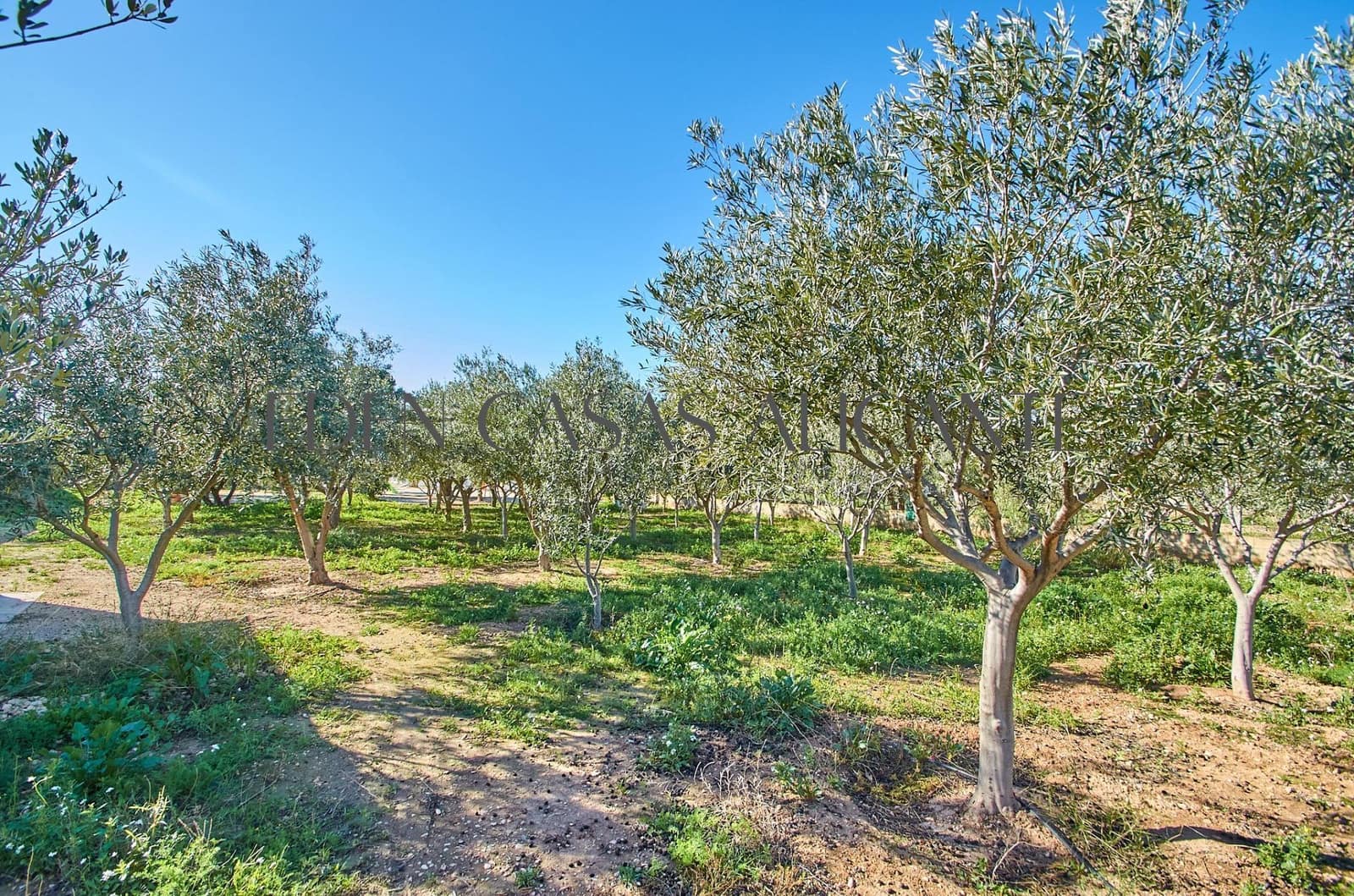 5 soverom Villa til salgs i Alicante by med svømmebasseng garasje - € 659 500 (Ref: 9513566)