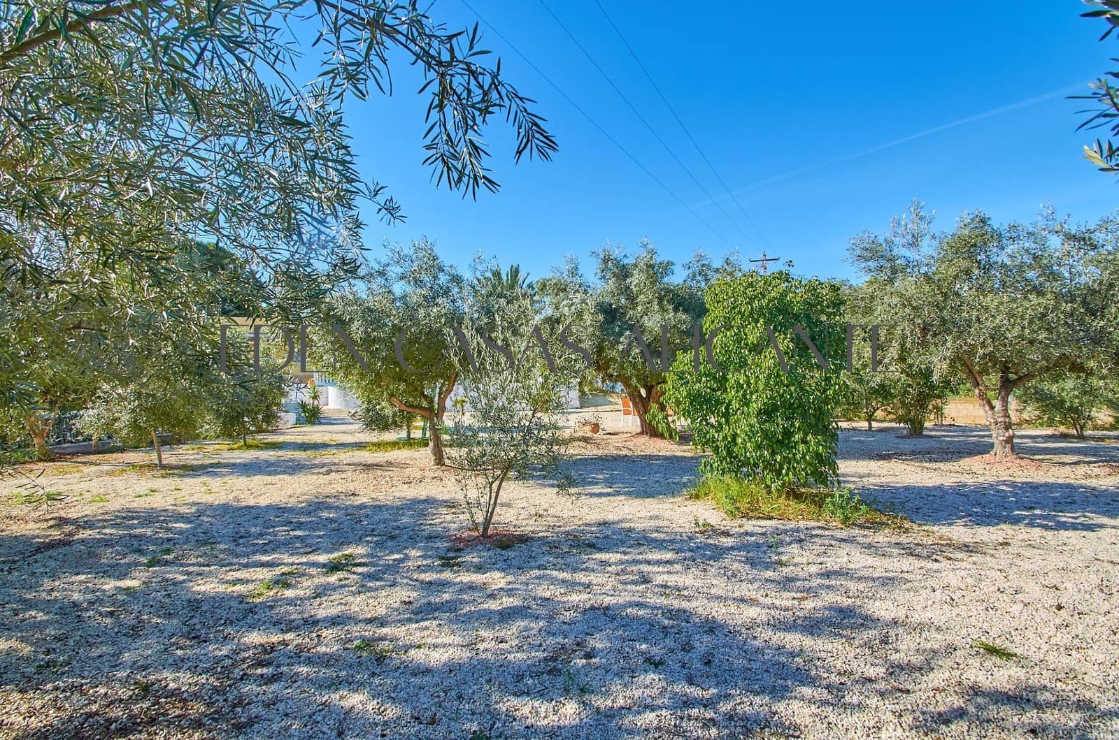 5 soverom Villa til salgs i Alicante by med svømmebasseng garasje - € 659 500 (Ref: 9513566)