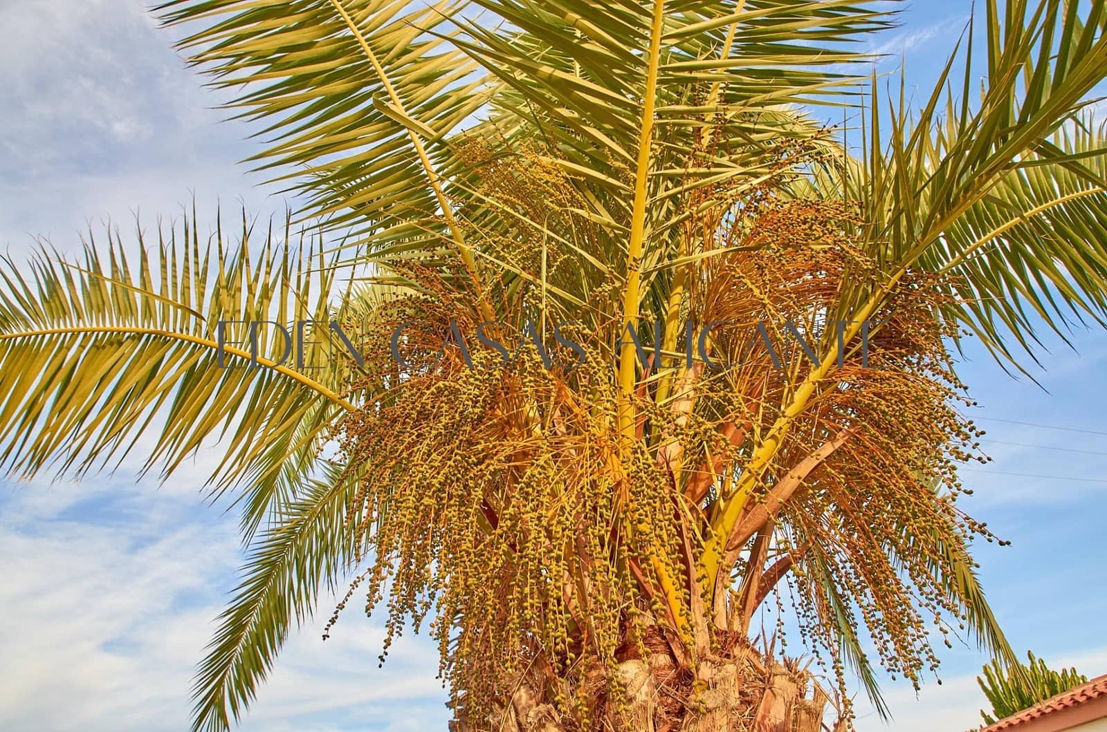 3 chambre Villa/Maison à vendre à Busot avec piscine garage - 440 000 € (Ref: 9519167)