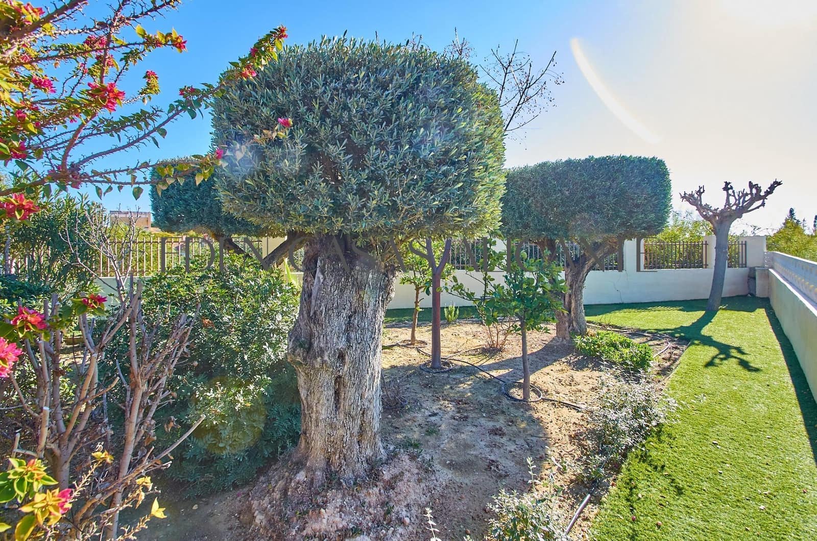 4 sypialnia Willa na sprzedaż w San Vicente / Sant Vicent del Raspeig z basenem - 555 000 € (Ref: 9530832)