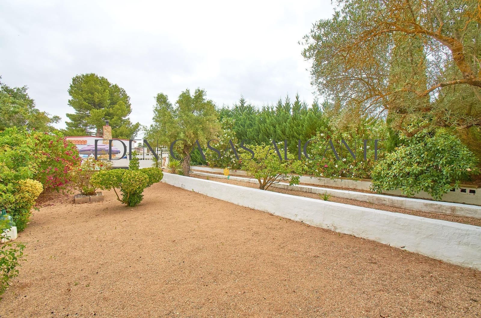 Chalet de 3 habitaciones en Biar en venta - 199.900 € (Ref: 9904156)