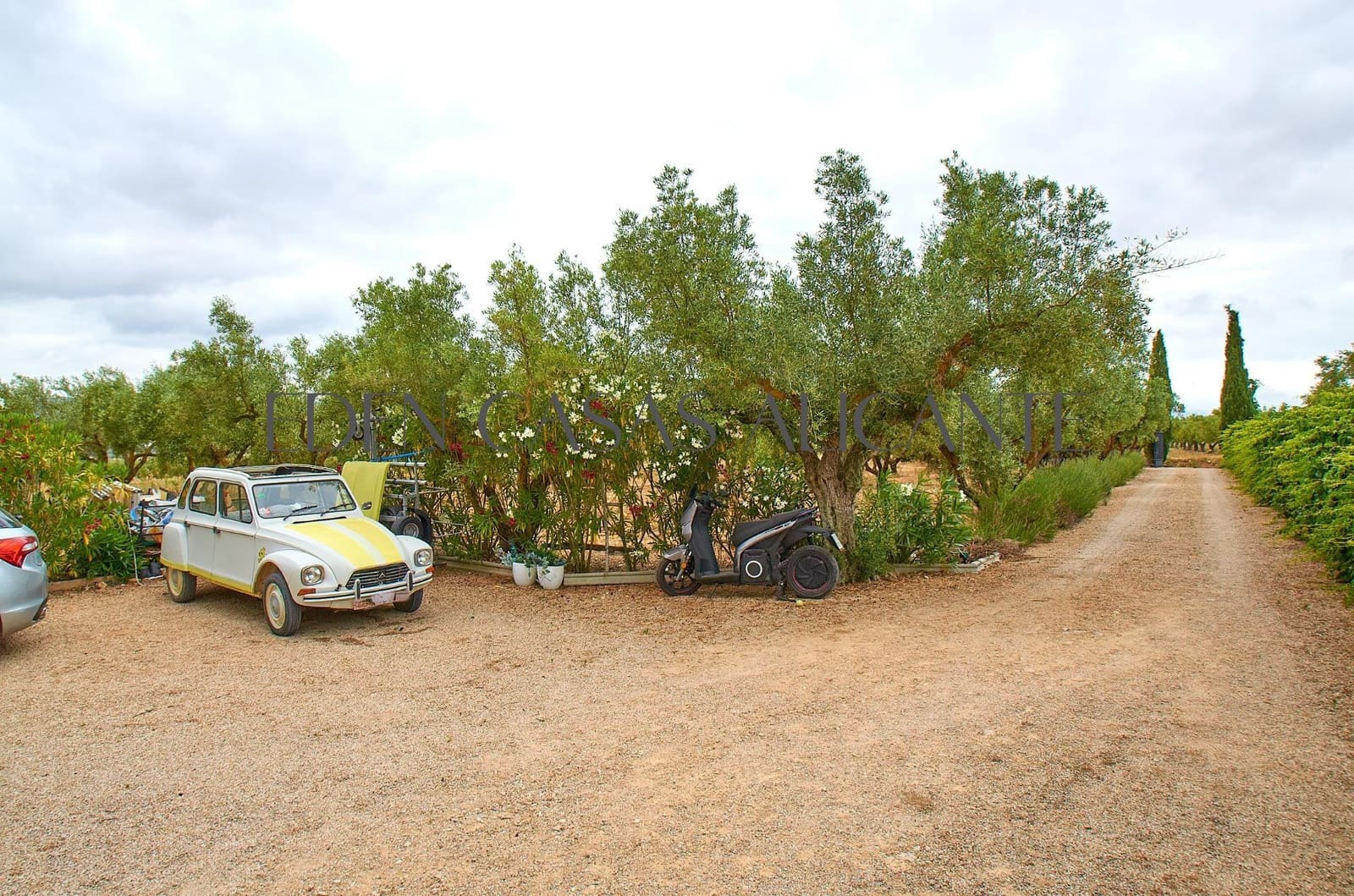 Chalet de 3 habitaciones en Biar en venta - 199.900 € (Ref: 9904156)