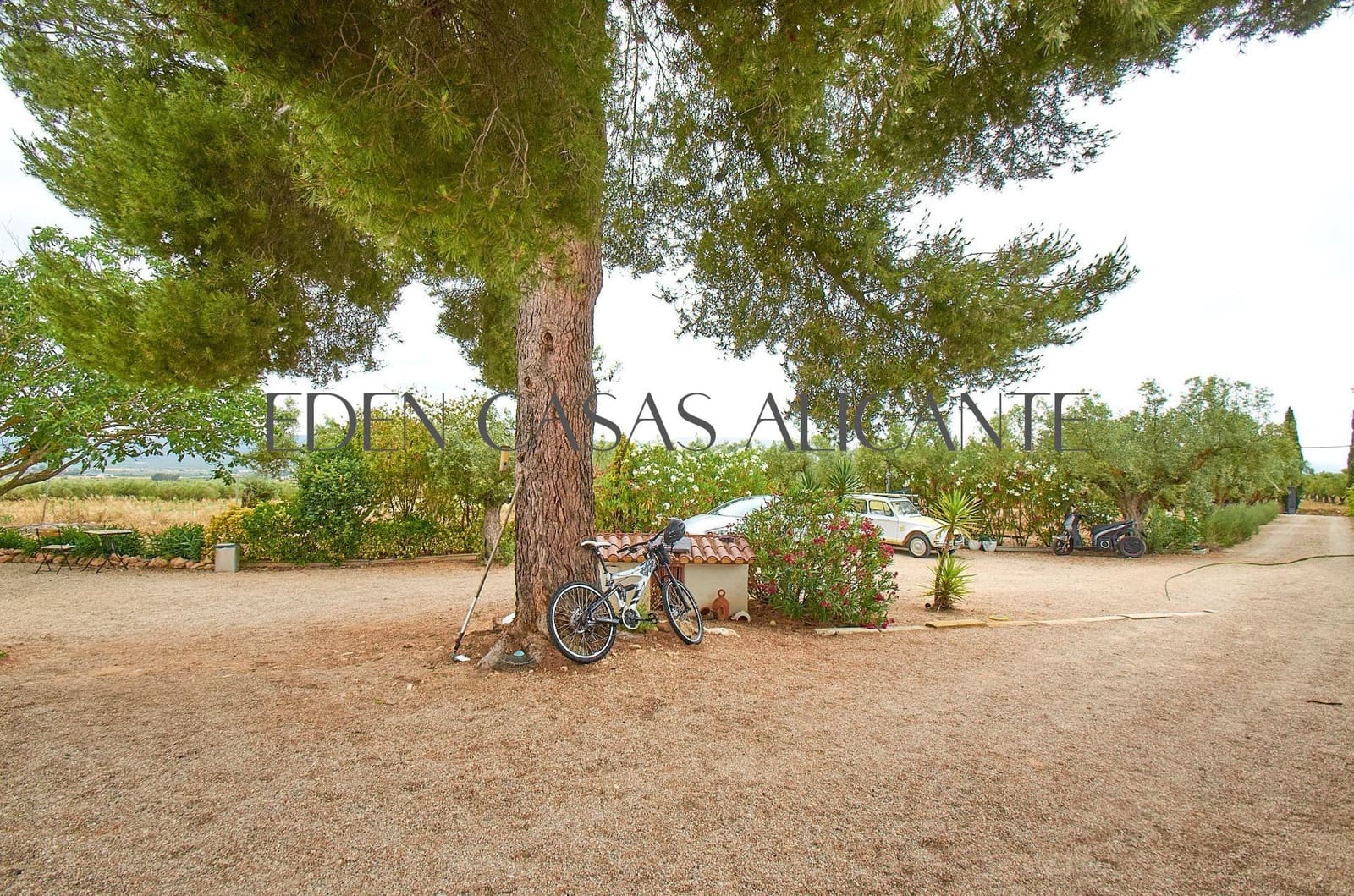 Chalet de 3 habitaciones en Biar en venta - 199.900 € (Ref: 9904156)