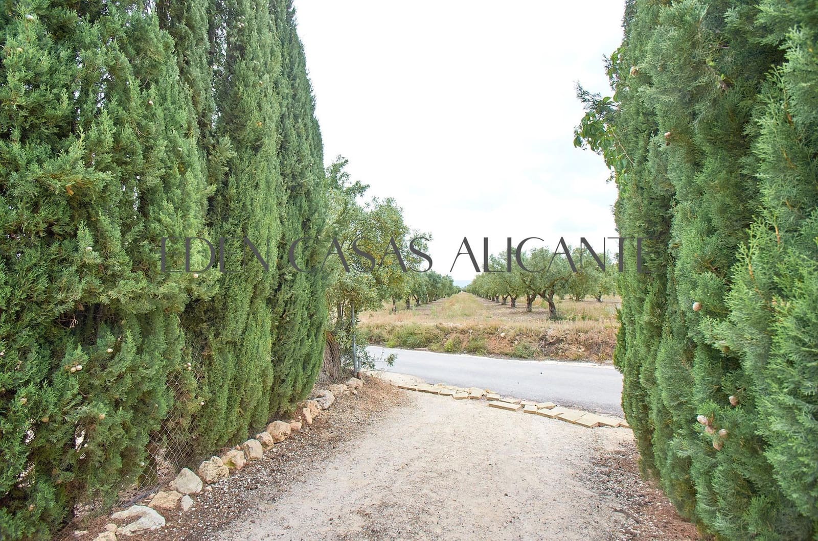 Chalet de 3 habitaciones en Biar en venta - 199.900 € (Ref: 9904156)