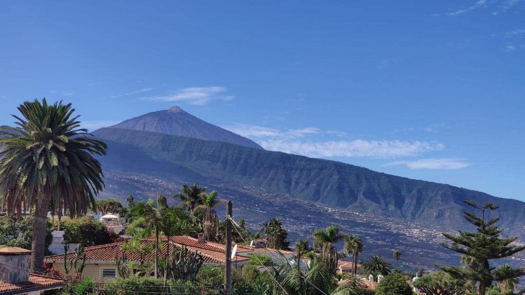 Terre non Aménagée à vendre à Santa Ursula - 330 000 € (Ref: 8510638)