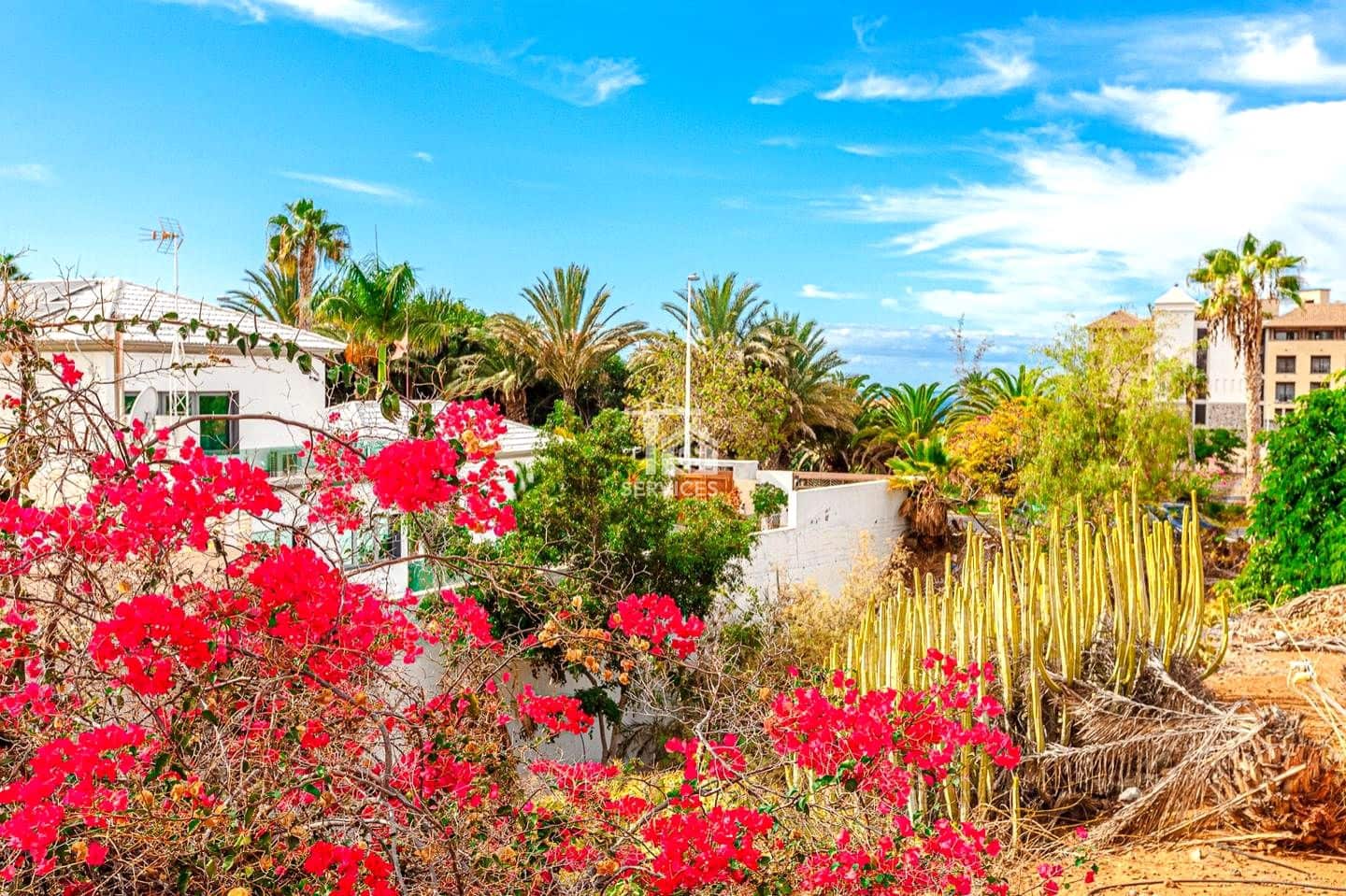 3 soveværelse Villa til salg i Costa Adeje med swimmingpool garage - € 1.150.000 (Ref: 9165184)