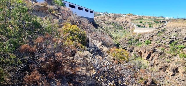 Terreno Non Edificato in vendita in Fasnia - 25.000 € (Rif: 9293807)