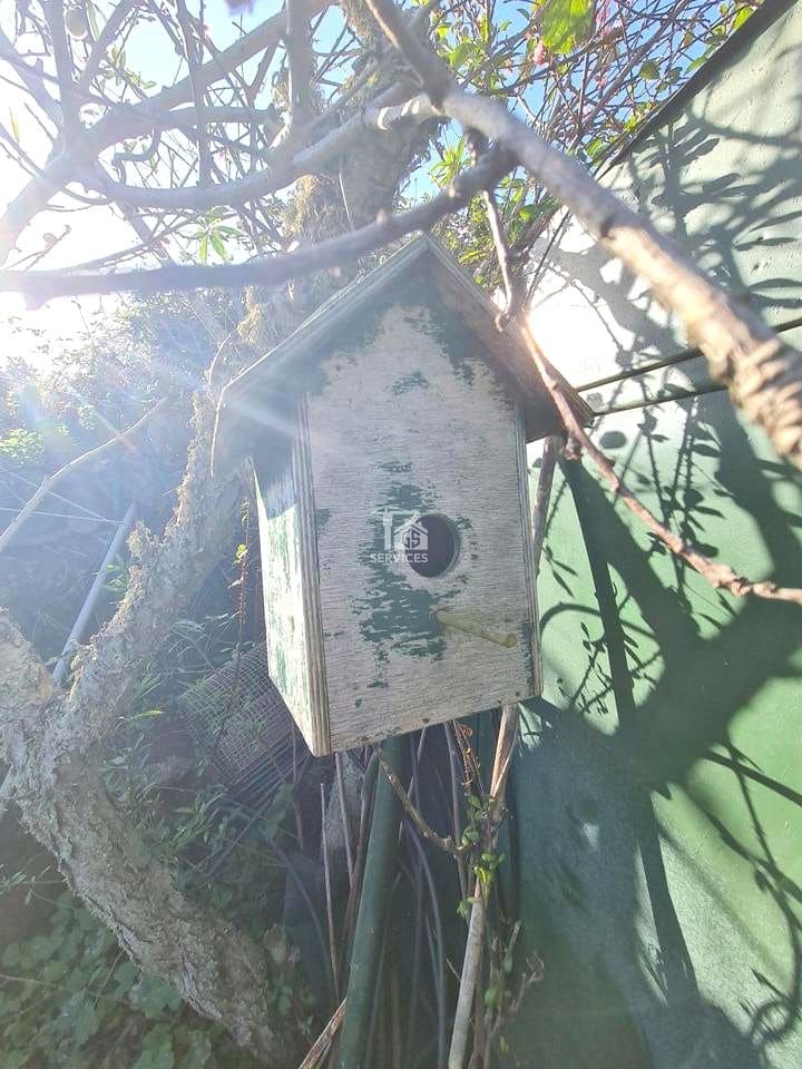 Rakentamaton maa myytävänä paikassa Buenavista del Norte - 45 000 € (Ref: 9356912)