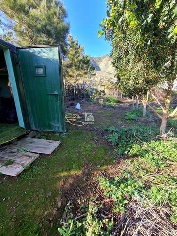 Mark till salu i Buenavista del Norte - 45 000 € (Ref: 9356912)