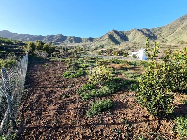 Mark till salu i Buenavista del Norte - 45 000 € (Ref: 9356912)