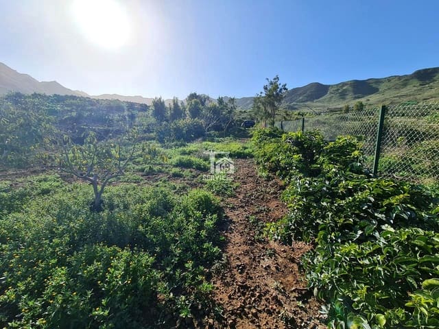 Mark till salu i Buenavista del Norte - 45 000 € (Ref: 9356912)