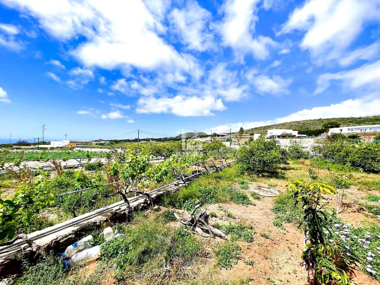 3 bedroom Villa for sale in Granadilla de Abona with garage - € 850,000 (Ref: 9405812)