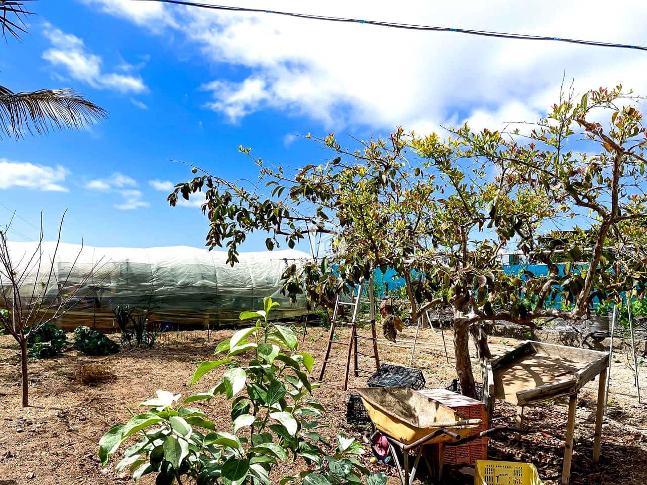 3 bedroom Villa for sale in Granadilla de Abona with garage - € 850,000 (Ref: 9405812)