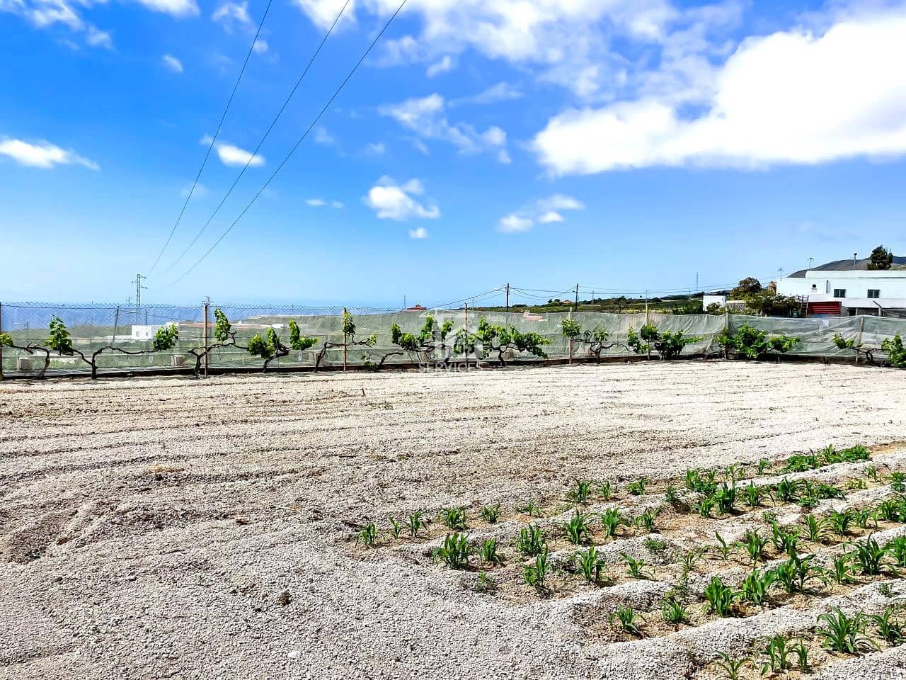 3 bedroom Villa for sale in Granadilla de Abona with garage - € 850,000 (Ref: 9405812)