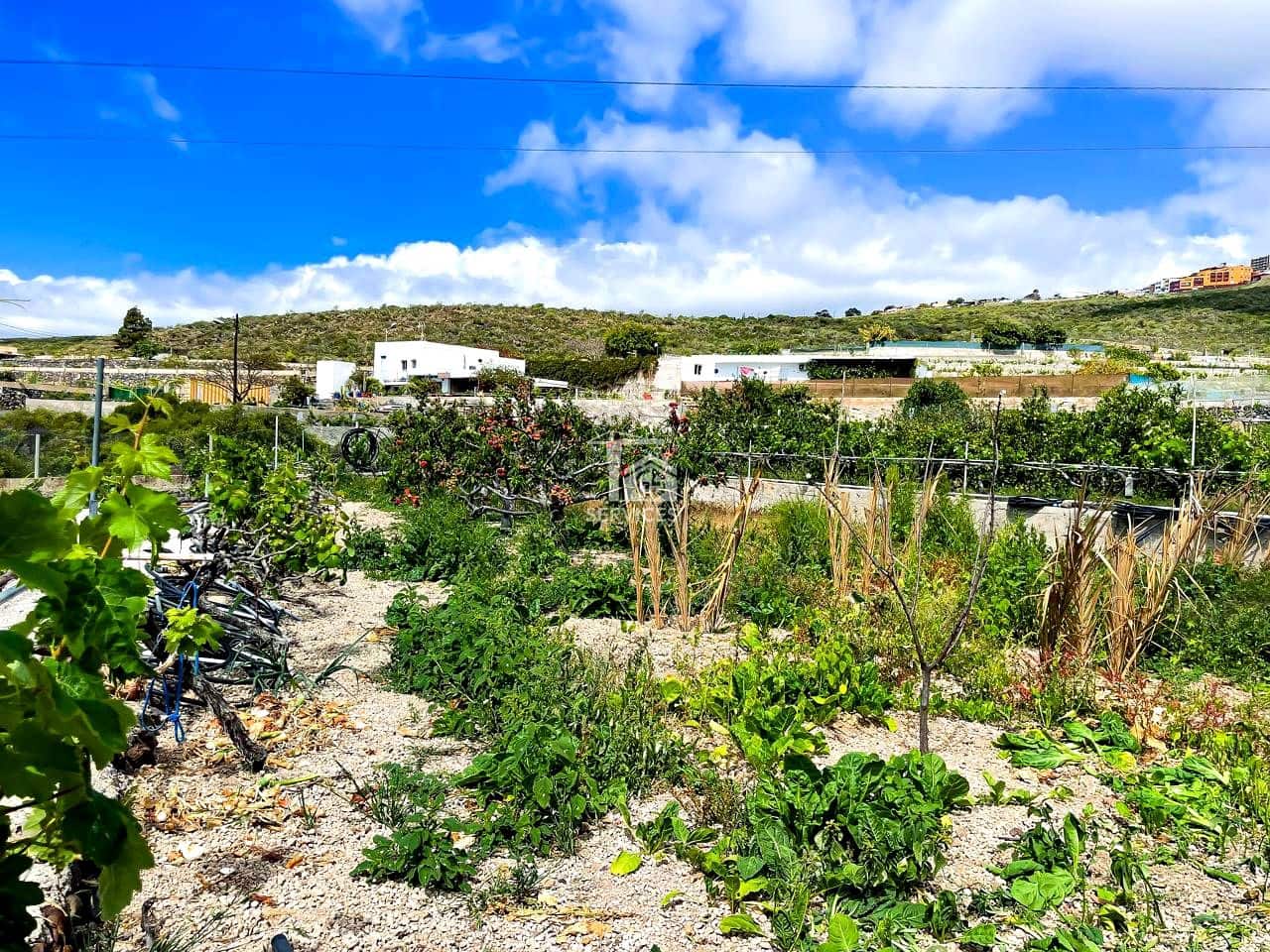 3 bedroom Villa for sale in Granadilla de Abona with garage - € 850,000 (Ref: 9405812)