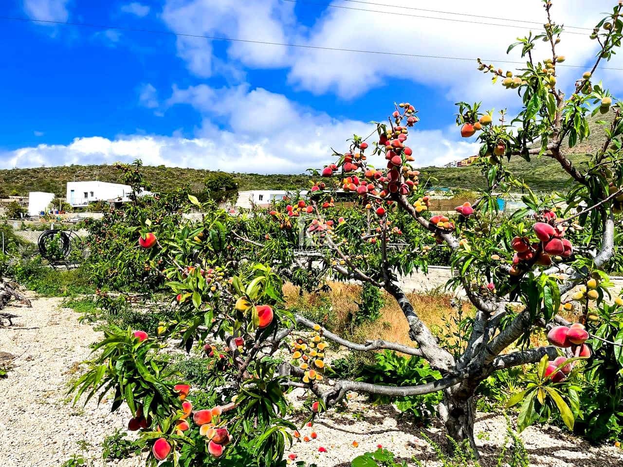 3 bedroom Villa for sale in Granadilla de Abona with garage - € 850,000 (Ref: 9405812)