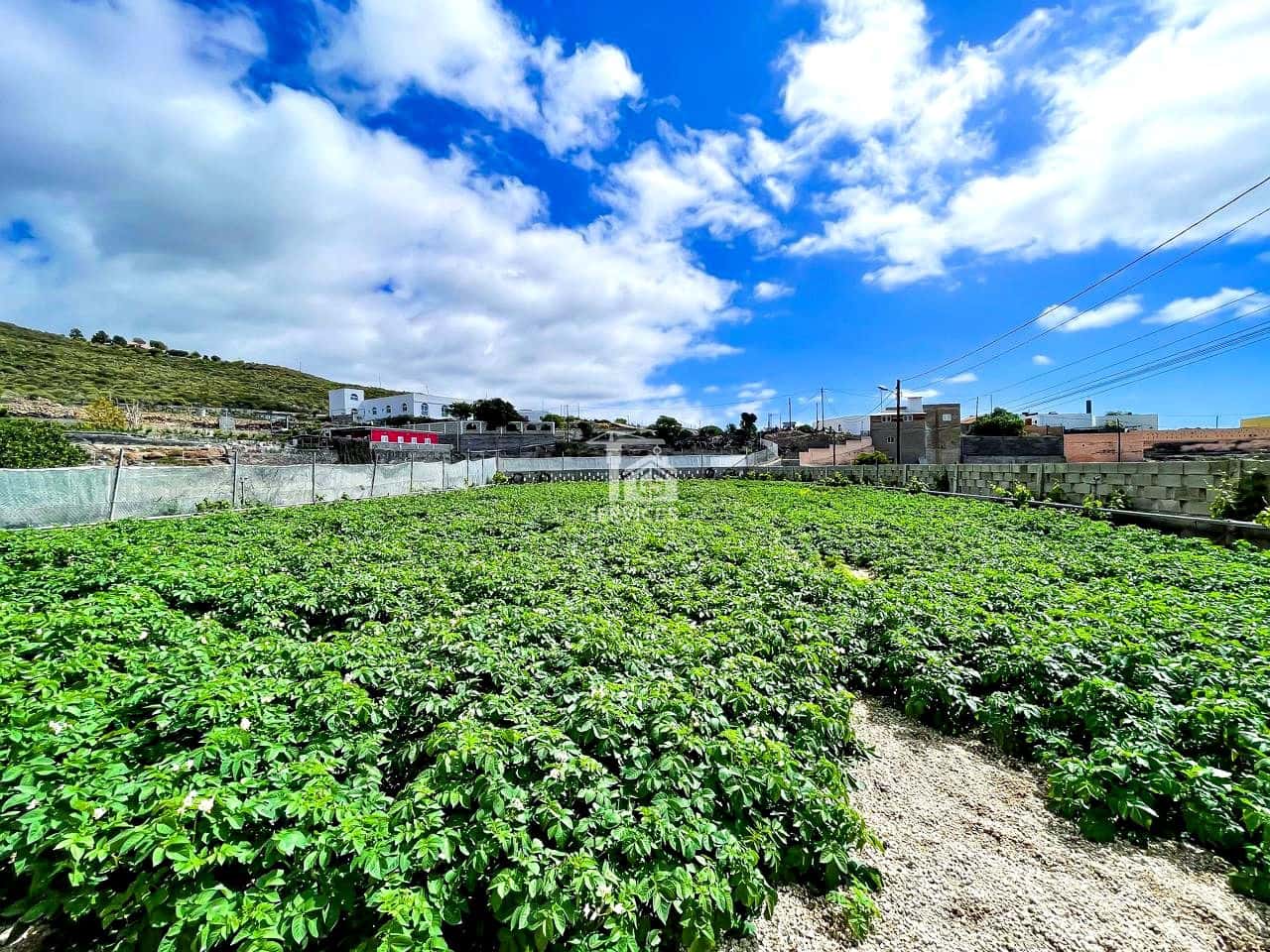 3 bedroom Villa for sale in Granadilla de Abona with garage - € 850,000 (Ref: 9405812)