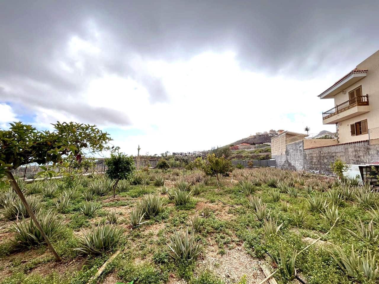 9 soveværelse Villa til salg i Arona med swimmingpool garage - € 880.000 (Ref: 9425649)