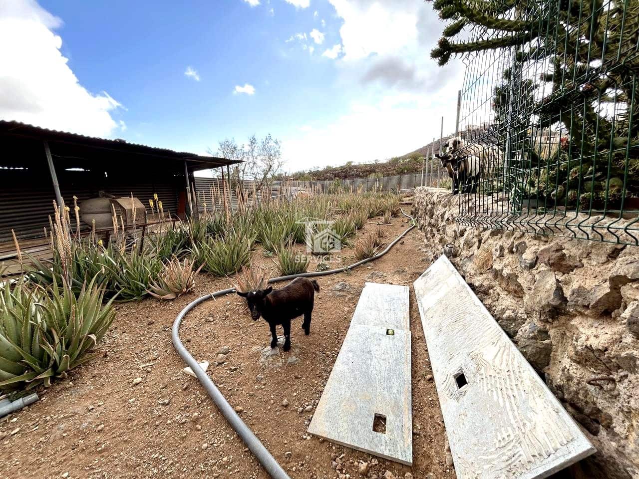 9 soveværelse Villa til salg i Arona med swimmingpool garage - € 880.000 (Ref: 9425649)