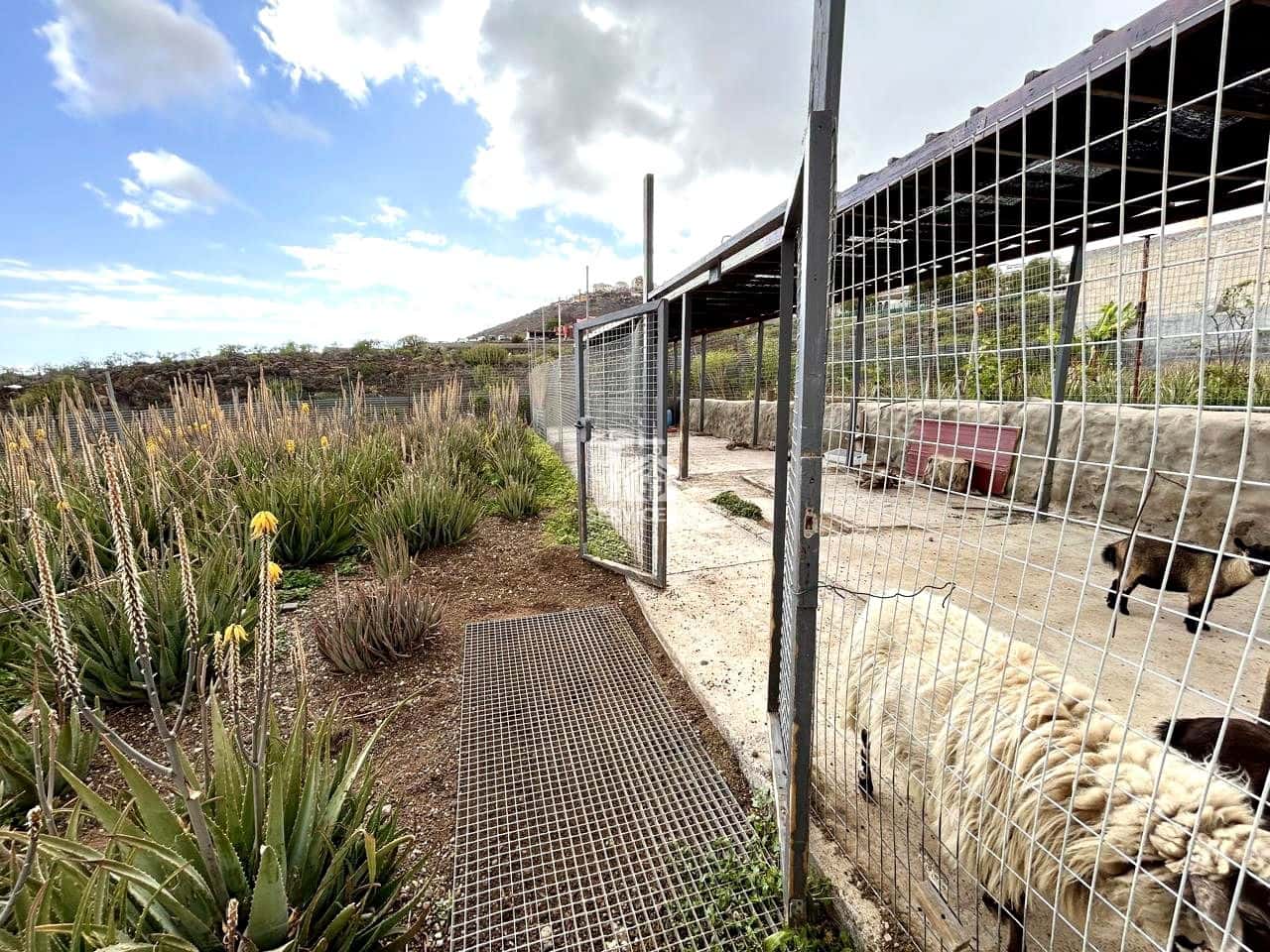 9 soveværelse Villa til salg i Arona med swimmingpool garage - € 880.000 (Ref: 9425649)