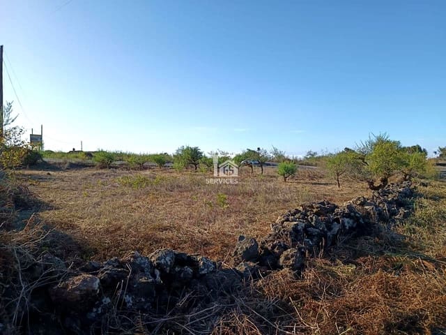 Mark till salu i El Tanque - 75 000 € (Ref: 9475743)