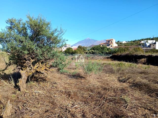 Mark till salu i El Tanque - 75 000 € (Ref: 9475743)