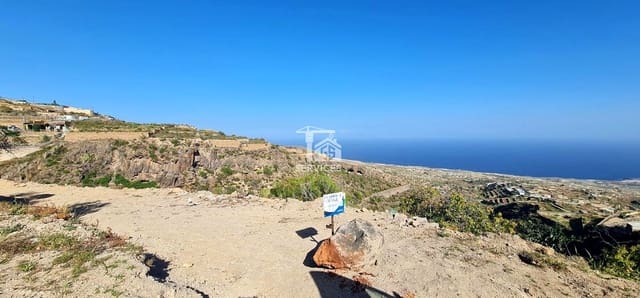 Mark till salu i Fasnia - 19 900 € (Ref: 9499514)