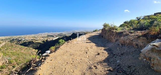 Mark till salu i Fasnia - 19 900 € (Ref: 9499514)