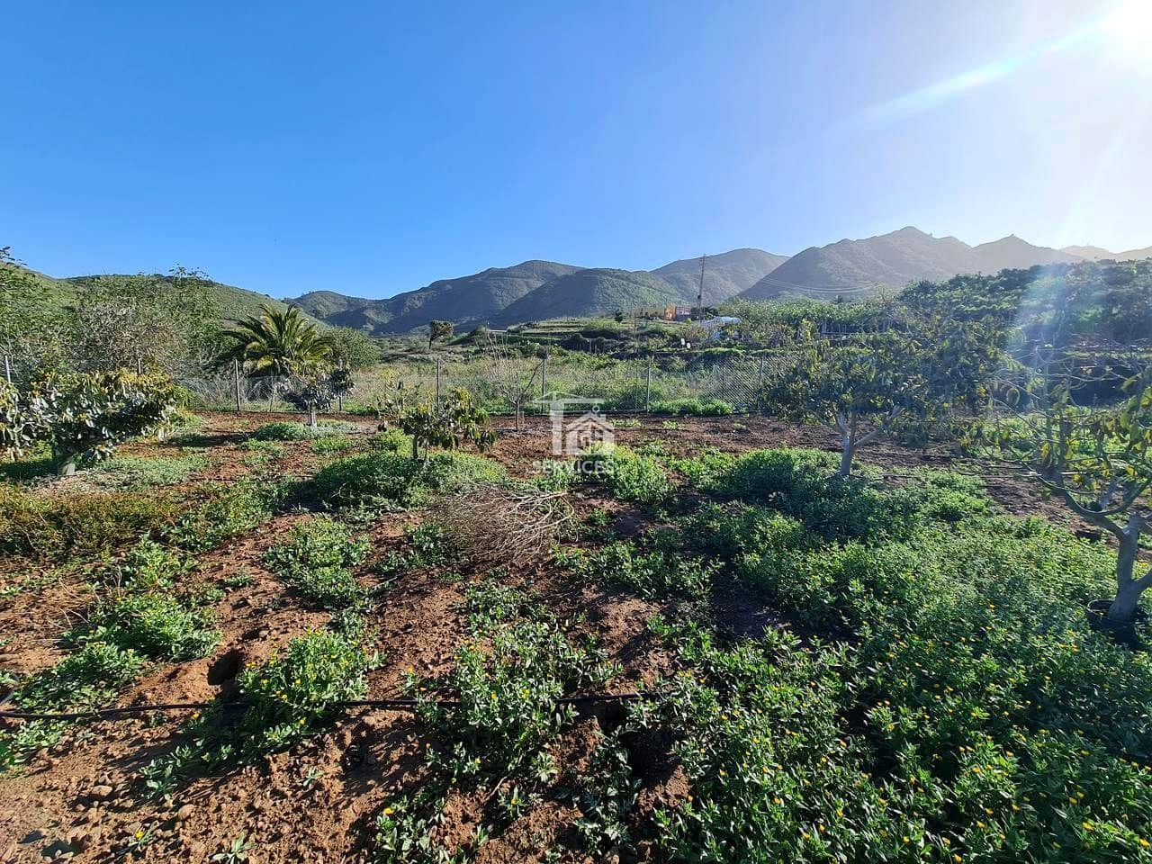 Mark till salu i Buenavista del Norte - 45 000 € (Ref: 9499515)