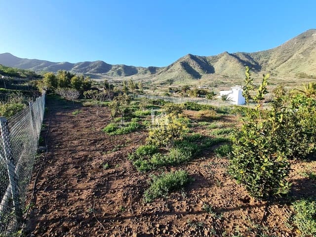 Mark till salu i Buenavista del Norte - 45 000 € (Ref: 9499515)