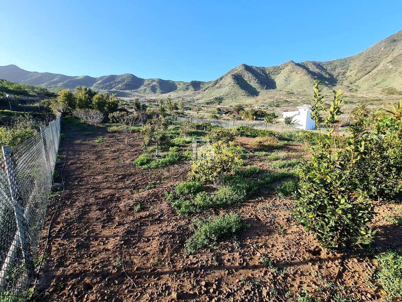 Mark till salu i Buenavista del Norte - 45 000 € (Ref: 9499515)