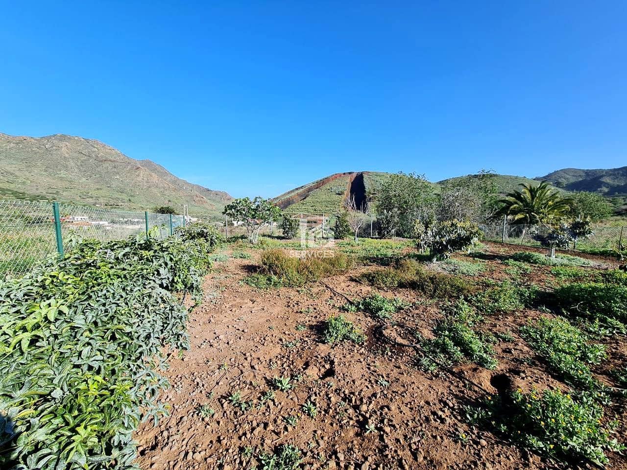 Mark till salu i Buenavista del Norte - 45 000 € (Ref: 9499515)