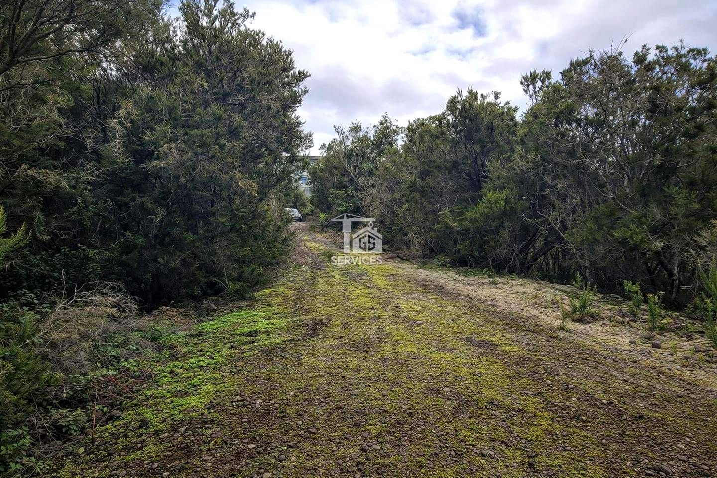 Mark till salu i El Tanque - 90 000 € (Ref: 9524953)