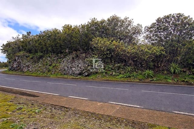 Mark till salu i El Tanque - 90 000 € (Ref: 9524953)