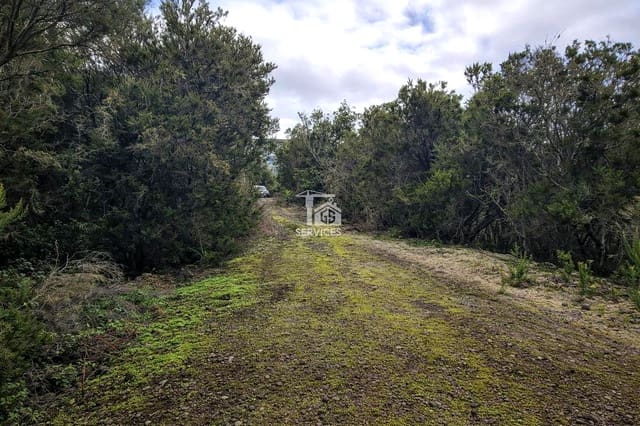 Mark till salu i El Tanque - 90 000 € (Ref: 9524953)