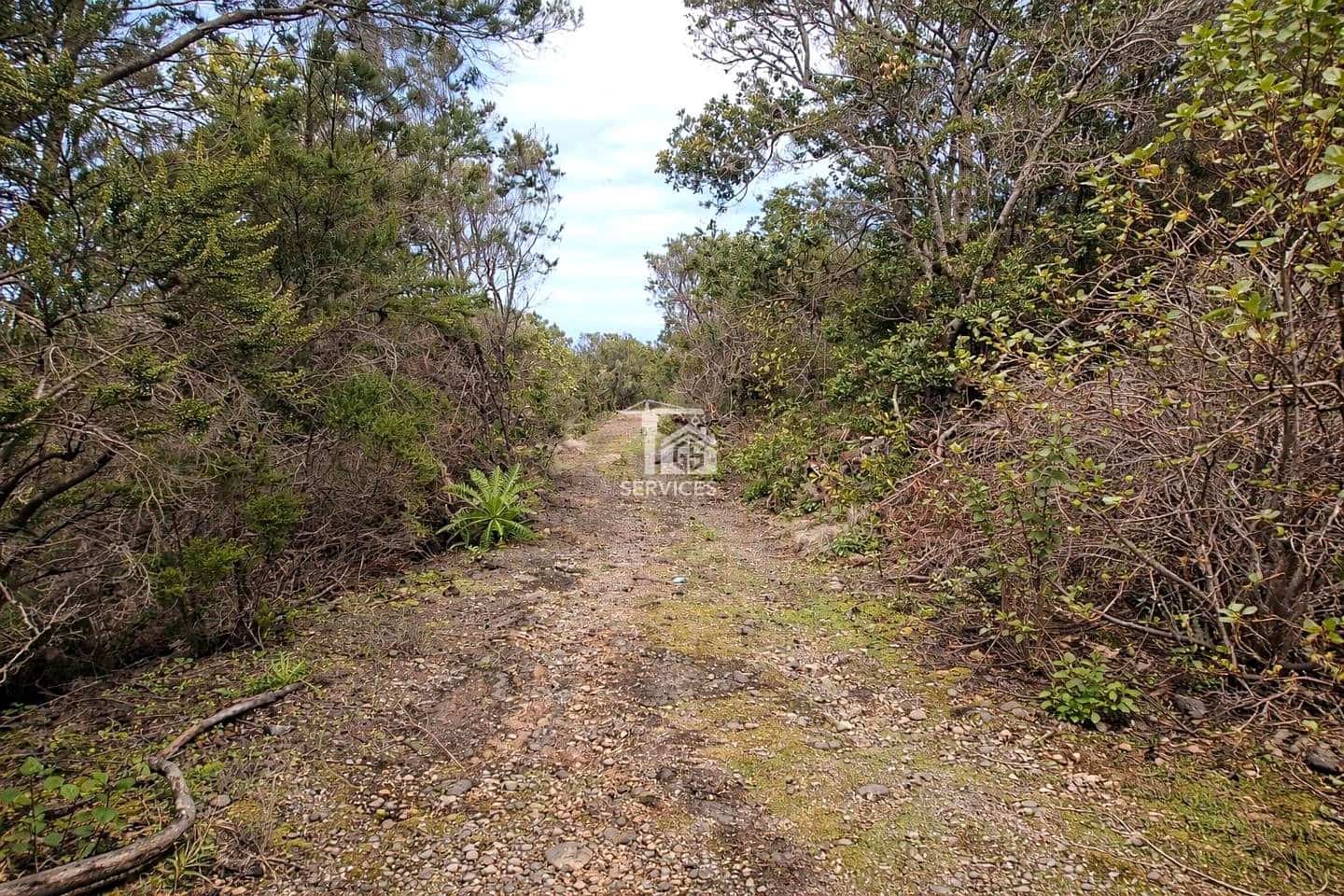 Mark till salu i El Tanque - 90 000 € (Ref: 9524953)