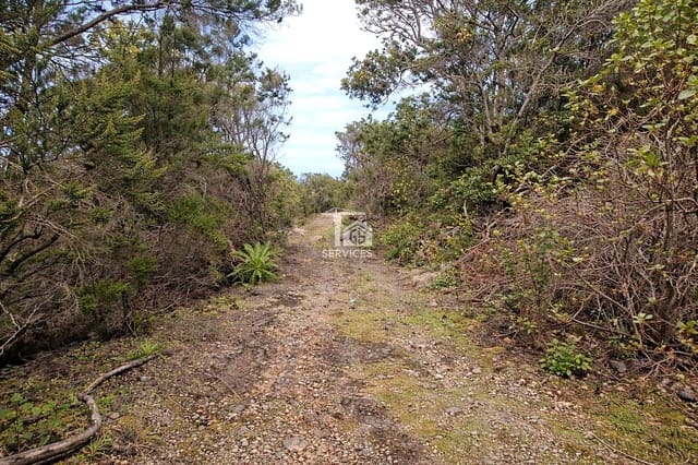 Mark till salu i El Tanque - 90 000 € (Ref: 9524953)