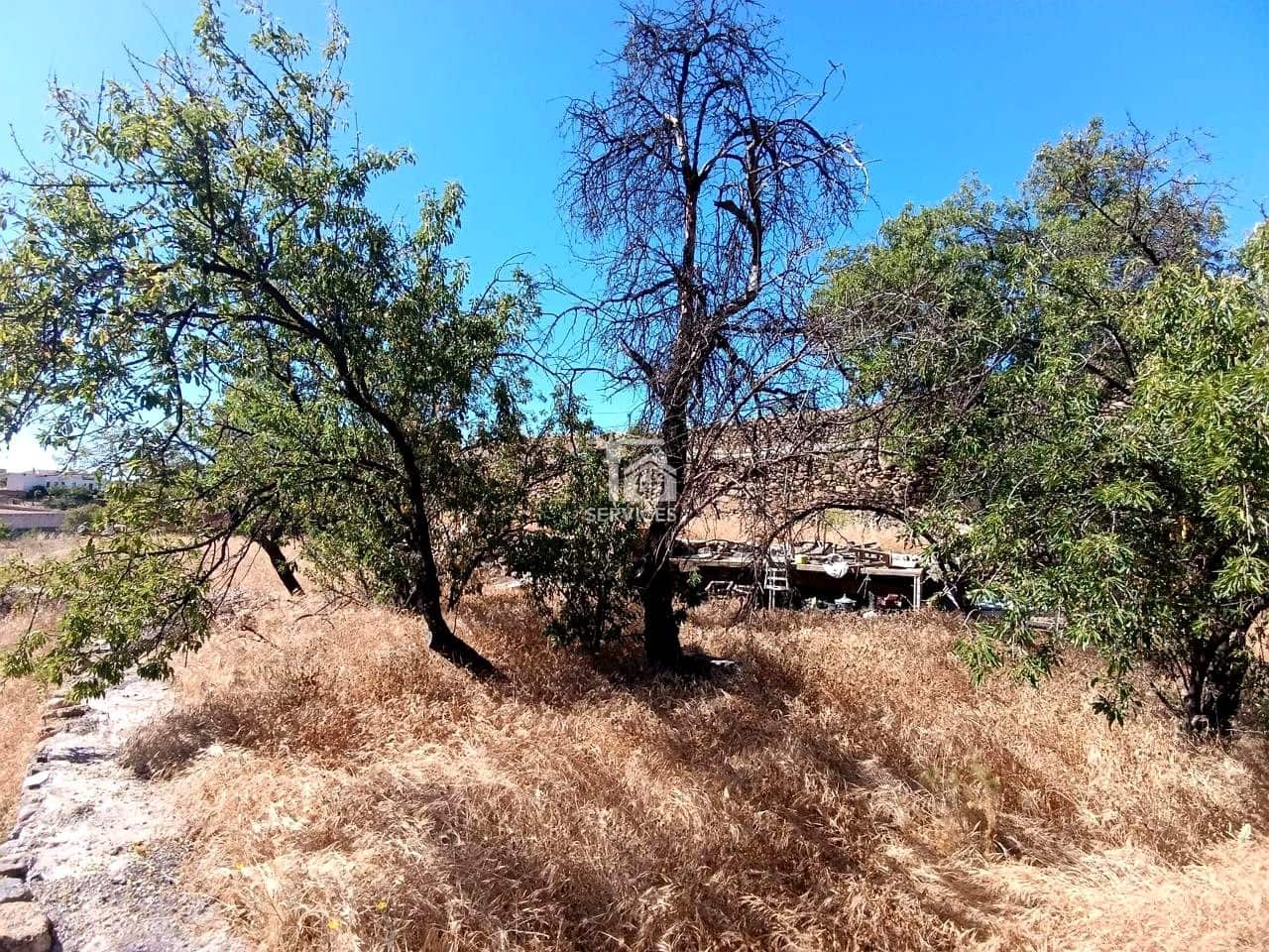 Grunde uden byggetilladelser til salg i Vilaflor - € 216.000 (Ref: 9529190)