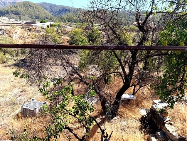 Grunde uden byggetilladelser til salg i Vilaflor - € 144.000 (Ref: 9529191)