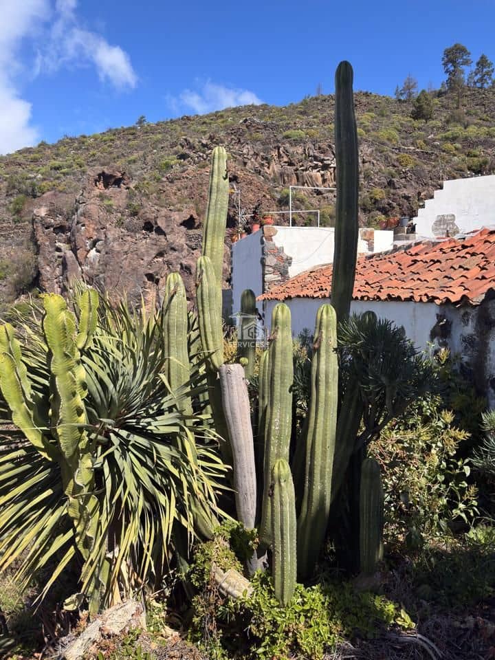 3 bedroom Villa for sale in Guia de Isora with pool - € 1,500,000 (Ref: 9715719)