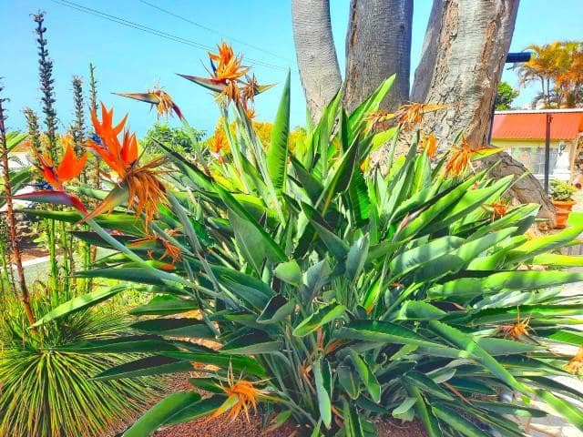 3 slaapkamer Villa te koop in Santa Cruz de Tenerife met garage - € 559.000 (Ref: 9802890)