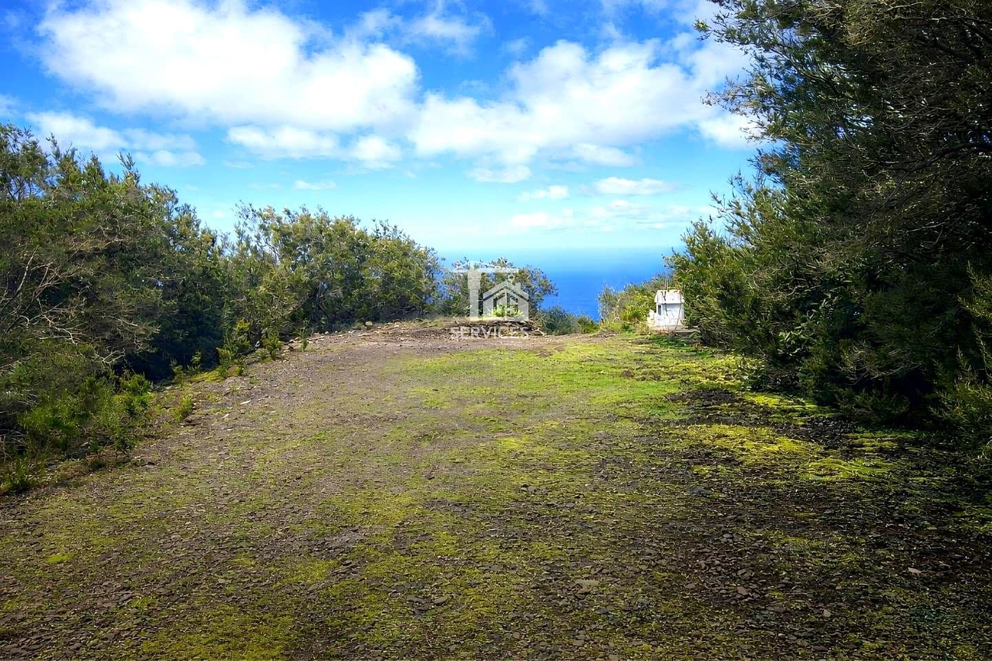 Undeveloped Land for sale in El Tanque - € 90,000 (Ref: 9815154)