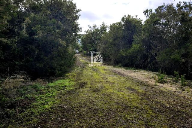 Undeveloped Land for sale in El Tanque - € 90,000 (Ref: 9815154)