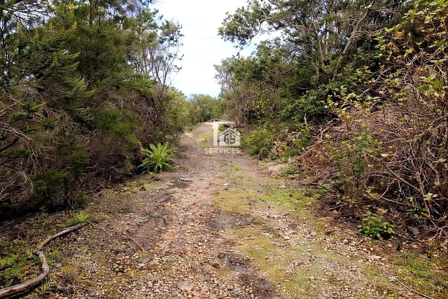 Undeveloped Land for sale in El Tanque - € 90,000 (Ref: 9815154)