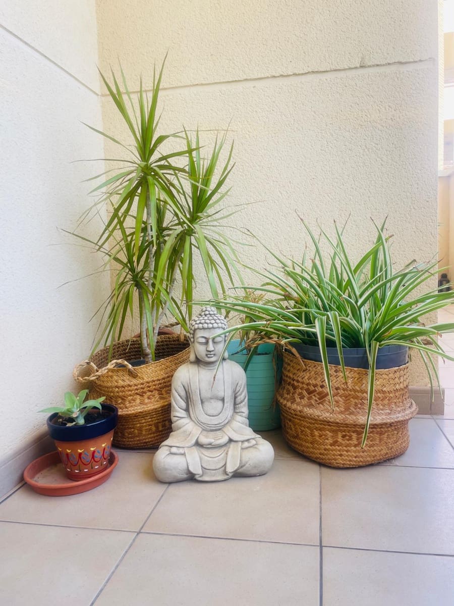 3 Zimmer Apartment zu verkaufen in Gea y Truyols mit Pool - 119.500 € (Ref: 10049916)