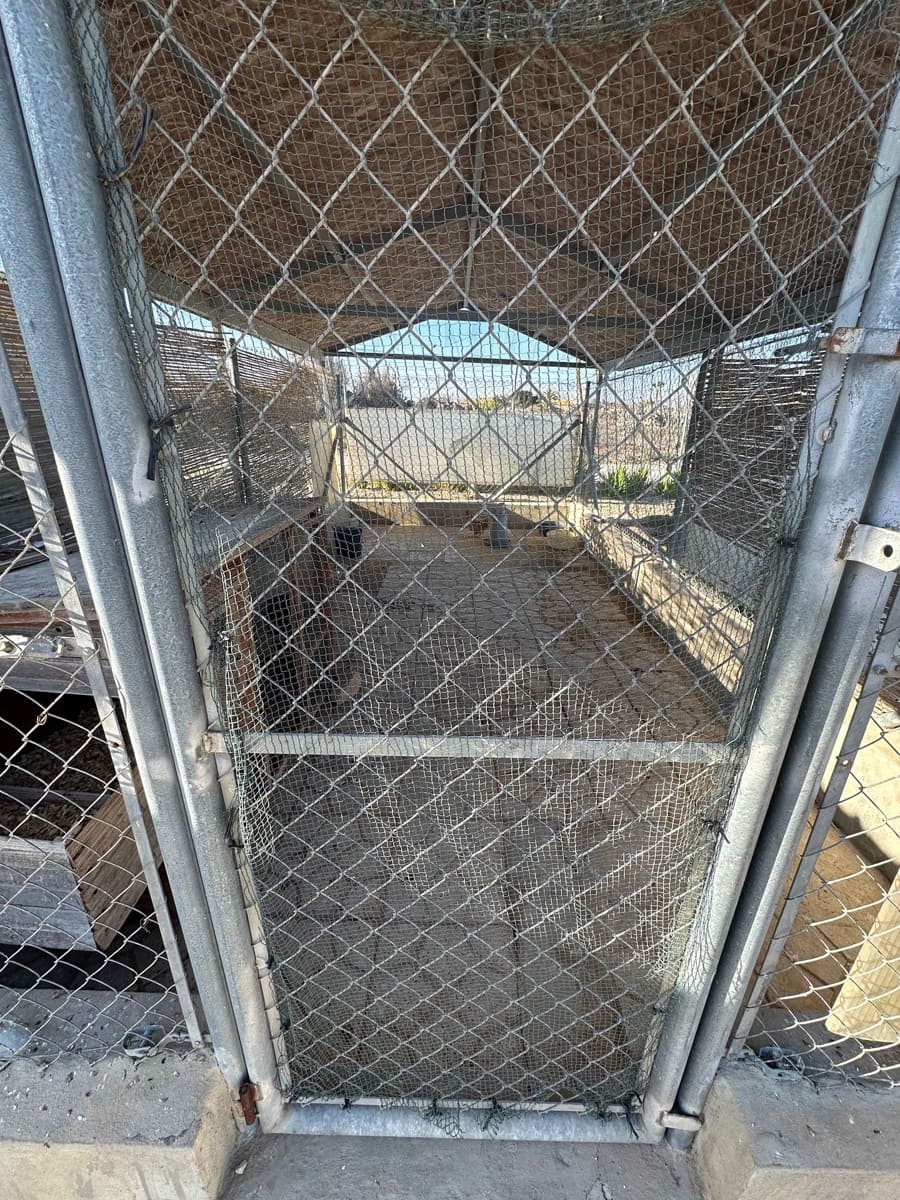 5 soveværelse Finca/Landehus til salg i Elche / Elx med swimmingpool - € 590.000 (Ref: 9029933)