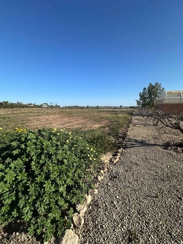 5 sypialnia Finka/Dom wiejski na sprzedaż w Torrellano, Elche / Elx z basenem - 590 000 € (Ref: 9029933)