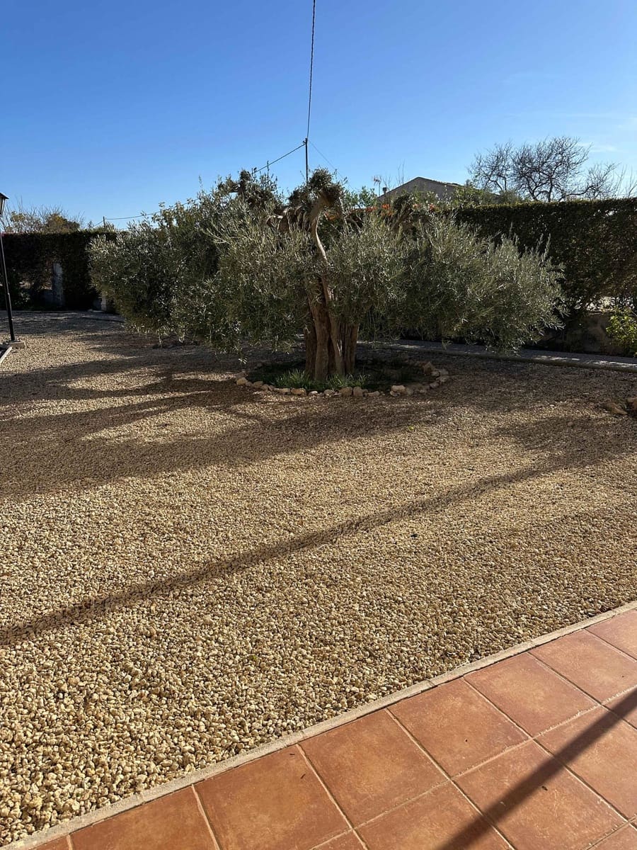 5 soveværelse Finca/Landehus til salg i Elche / Elx med swimmingpool - € 590.000 (Ref: 9029933)